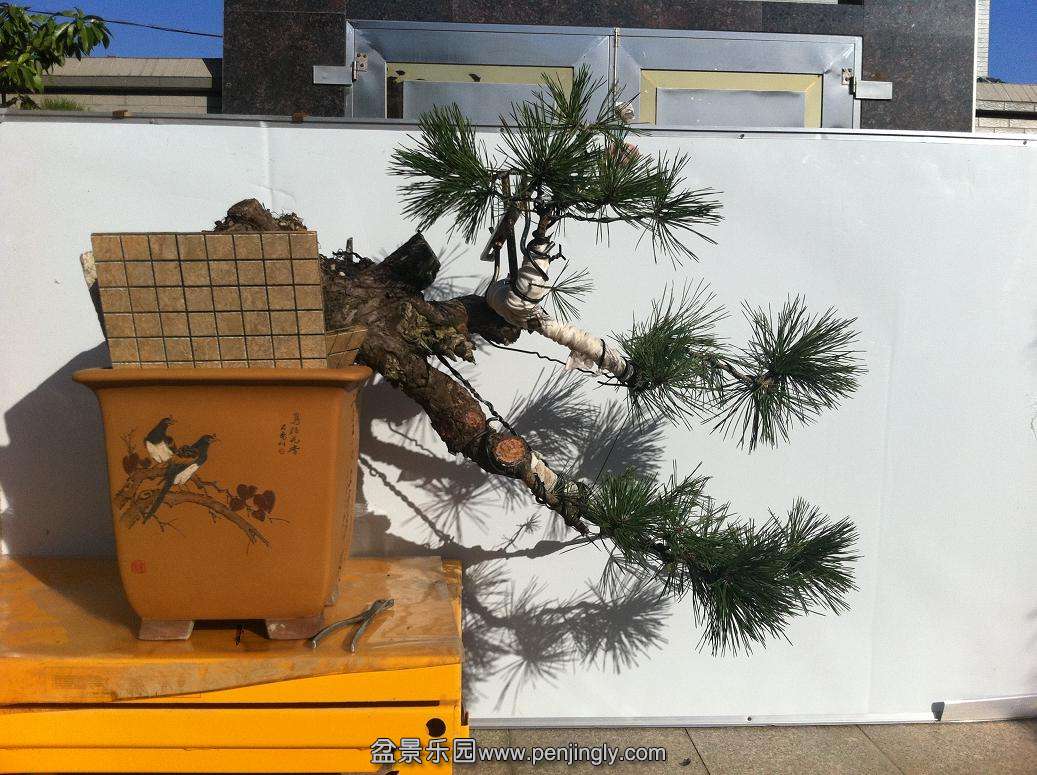 20131012��ɽ��150 005.jpg