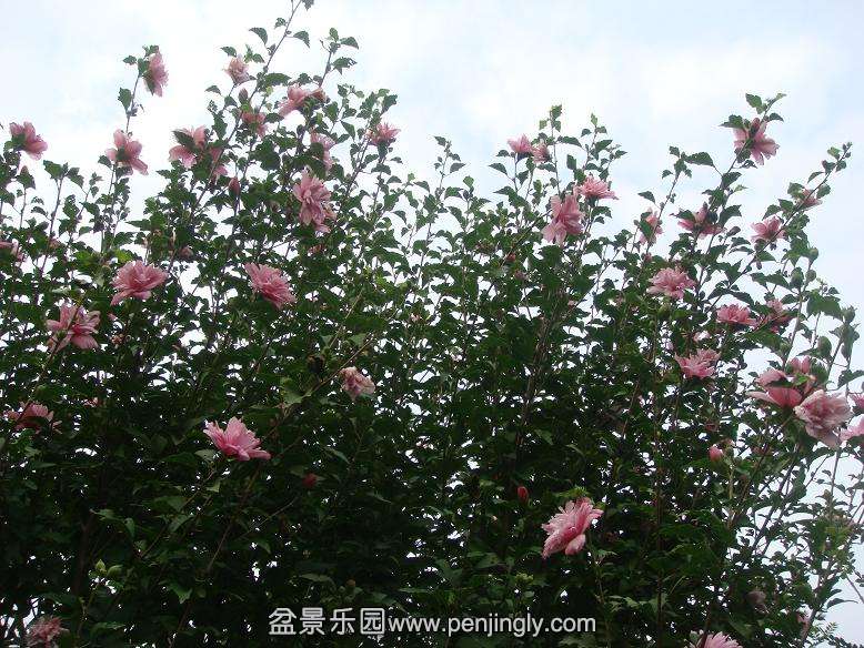 DSC05425.JPG