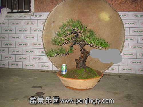 IMG_6194__.jpg