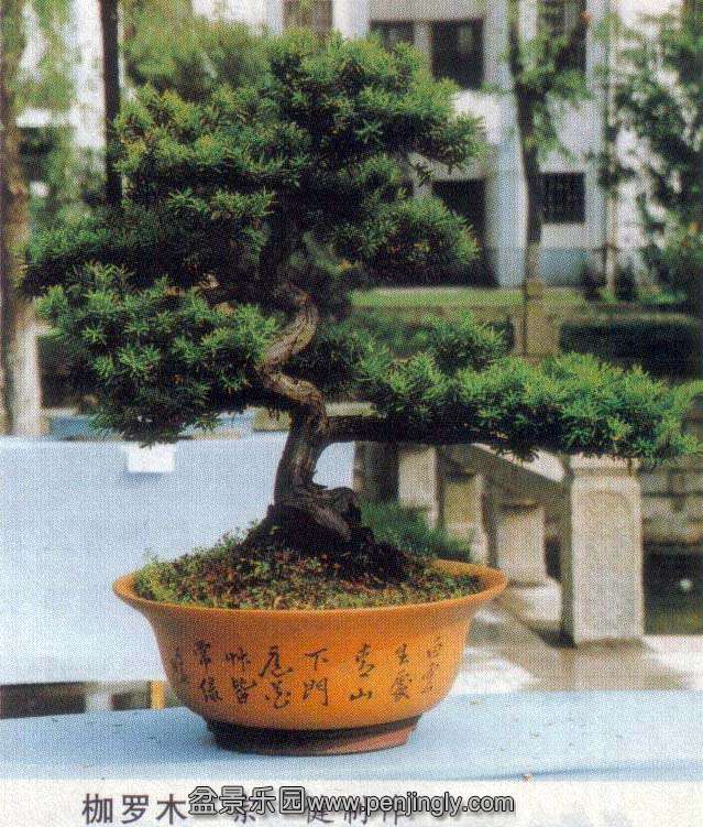 辰-ڽ-ľ.jpg