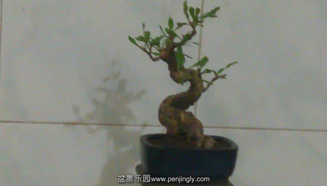 QQͼƬ20131013154035.jpg