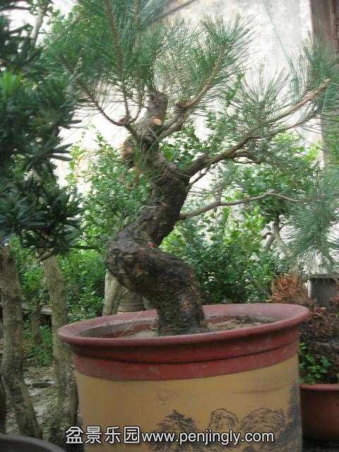 DSCN60210001.JPG