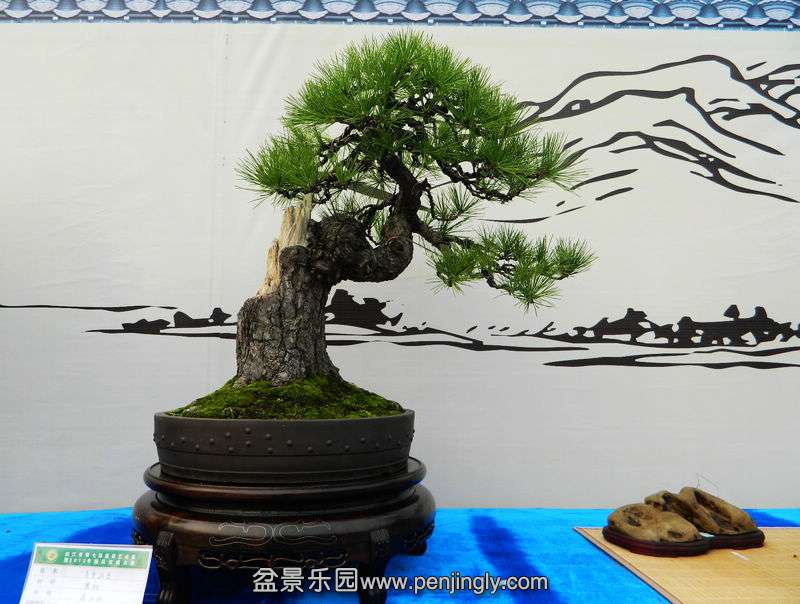 DSCN6327.jpg