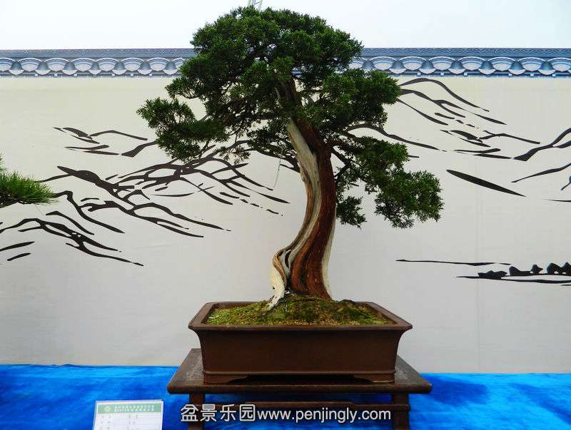 DSCN6329.jpg
