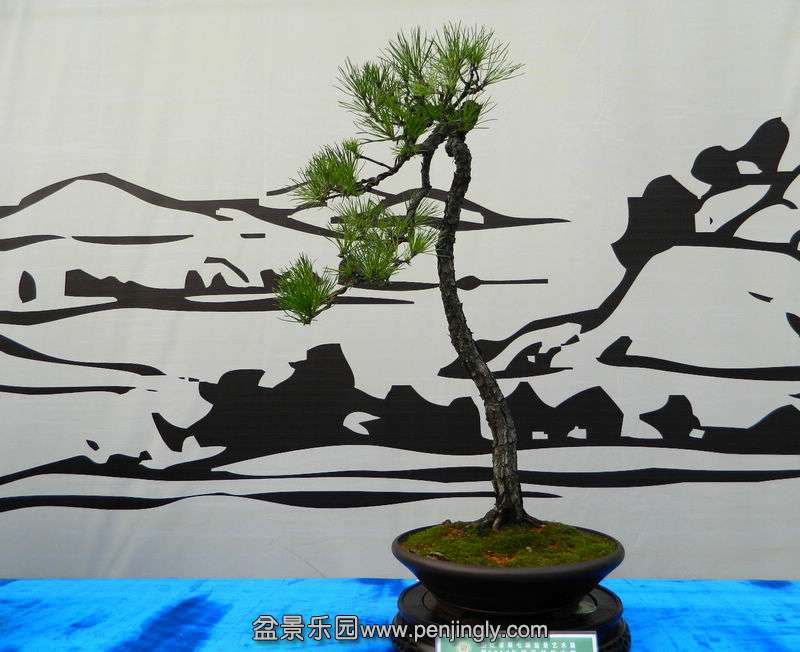DSCN6346.jpg