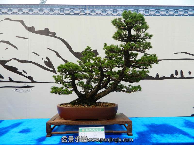DSCN6348.jpg