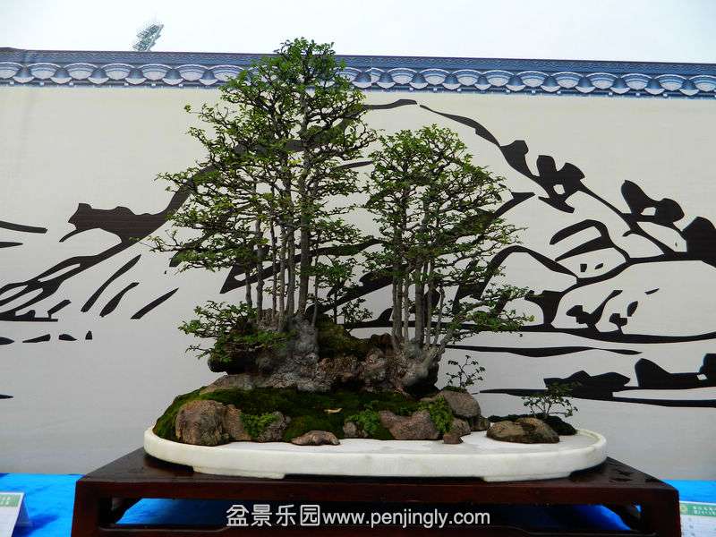DSCN6351.jpg