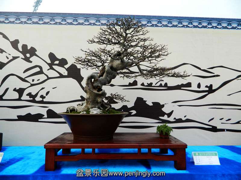 DSCN6352.jpg