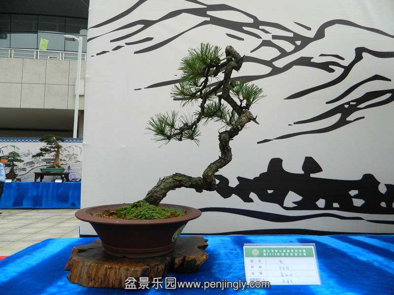 DSCN6354.jpg