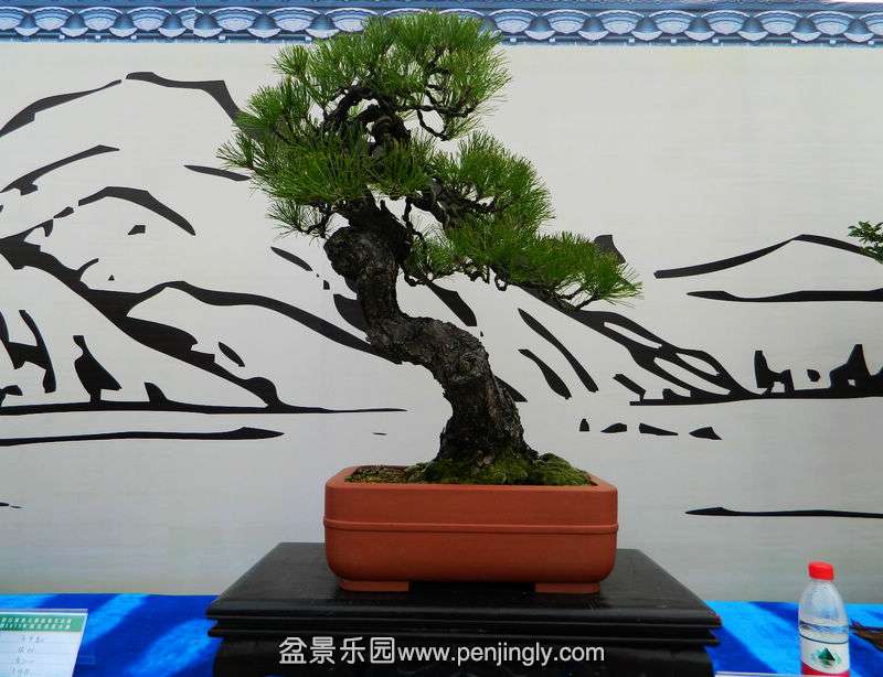 DSCN6357.jpg