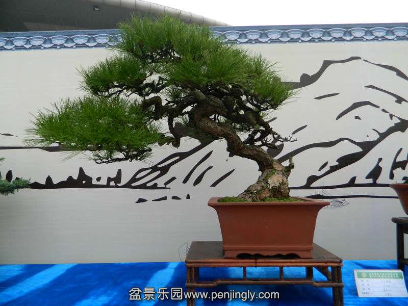 DSCN6359.jpg