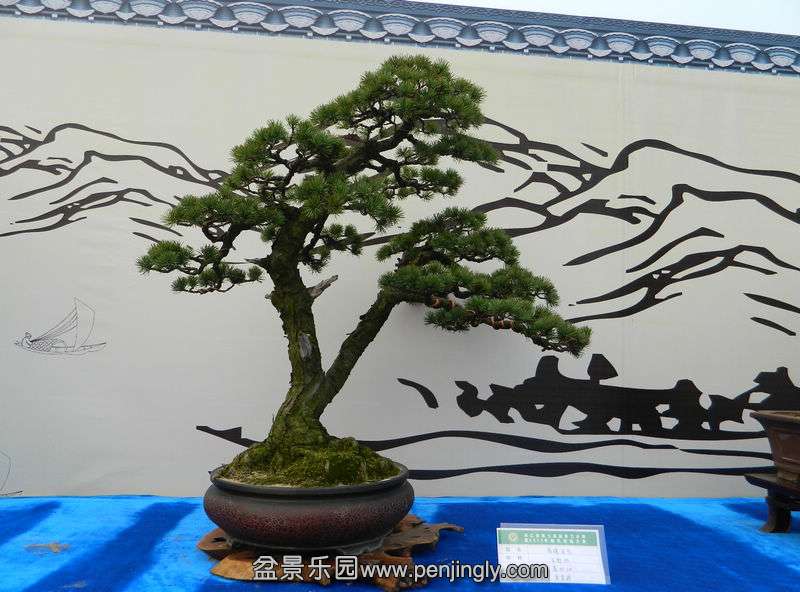 DSCN6323.jpg