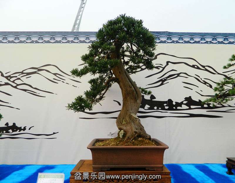 DSCN6325.jpg