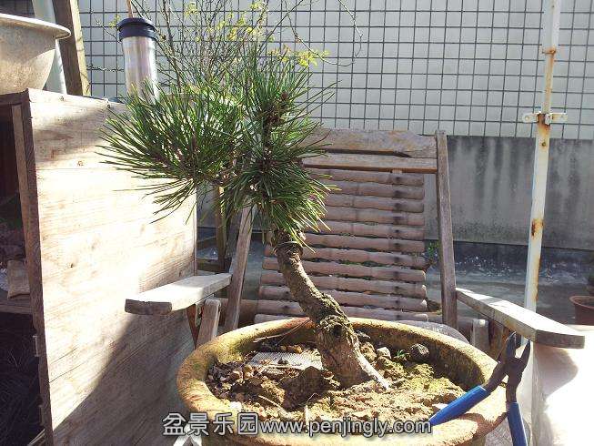 20131012_103042.jpg