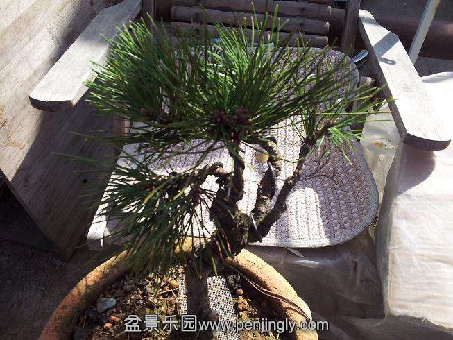 20131012_103107.jpg