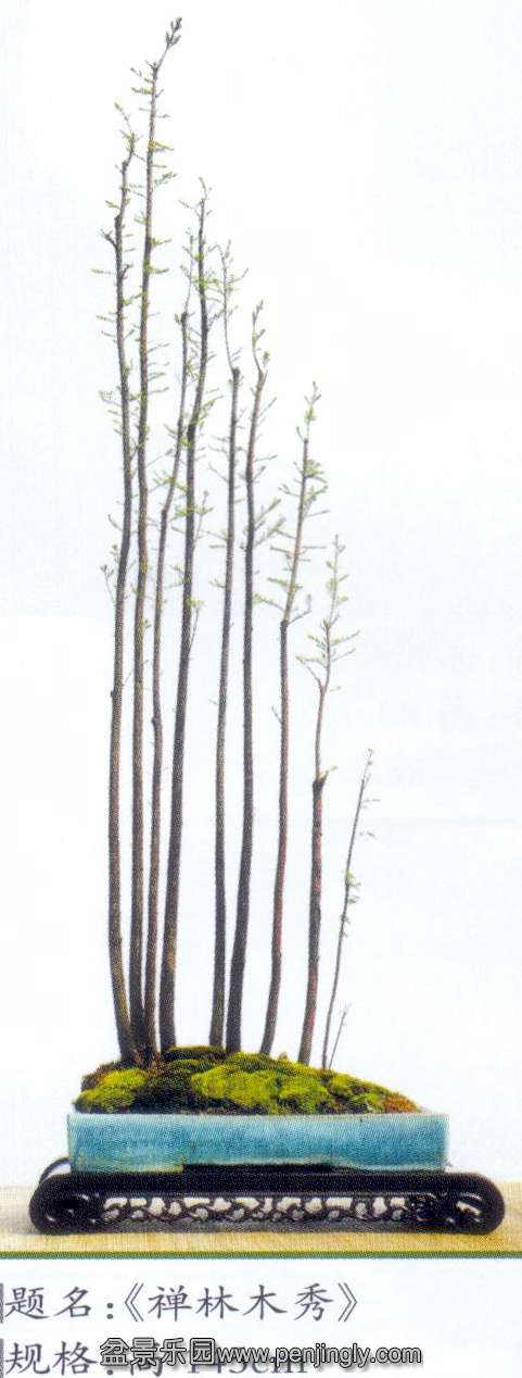 ѧ-ɼ7 .jpg