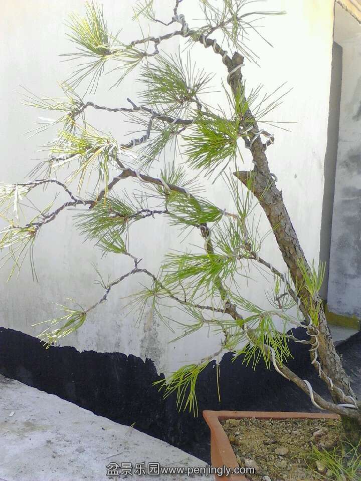 QQͼƬ20131014122311.jpg