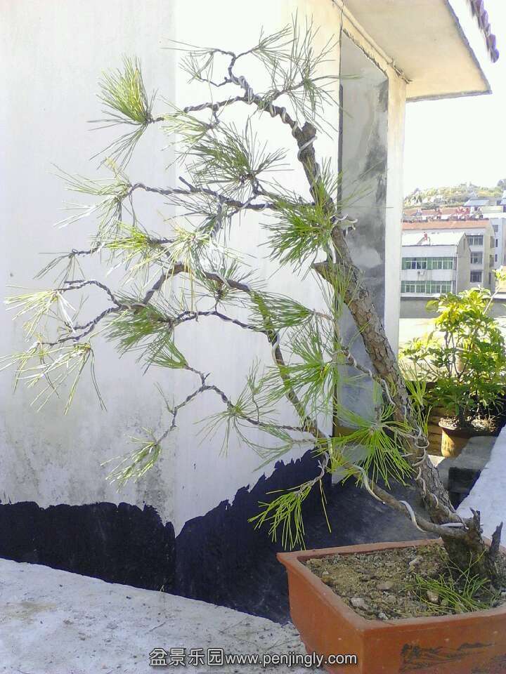 QQͼƬ20131014122320.jpg