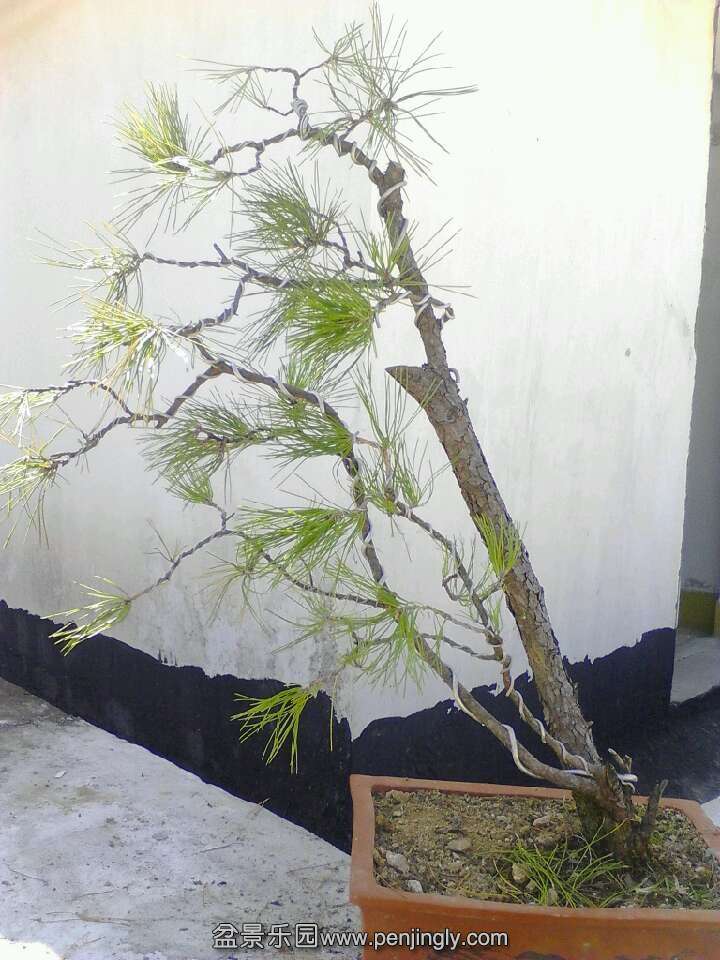 QQͼƬ20131014122332.jpg