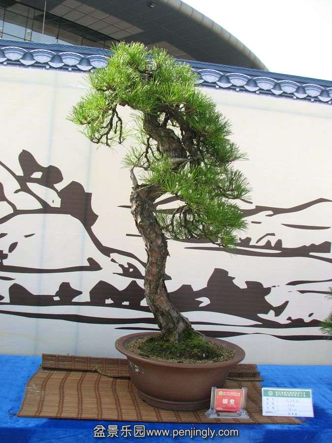 IMG_0651_.jpg