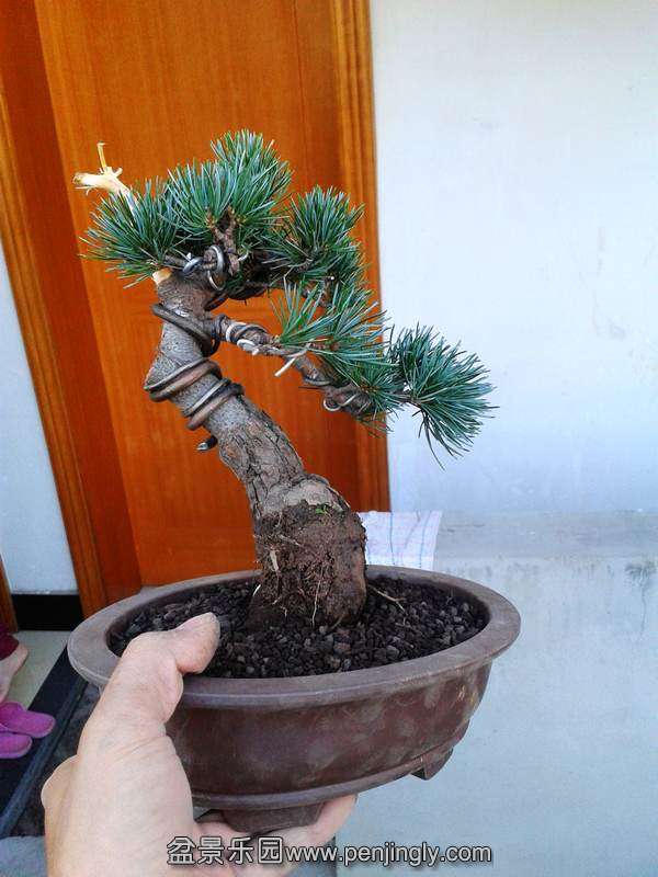 2013-10-13 16.28.42.jpg