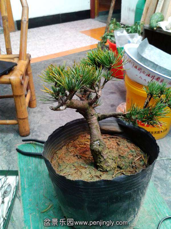 2013-10-14 13.38.42.jpg