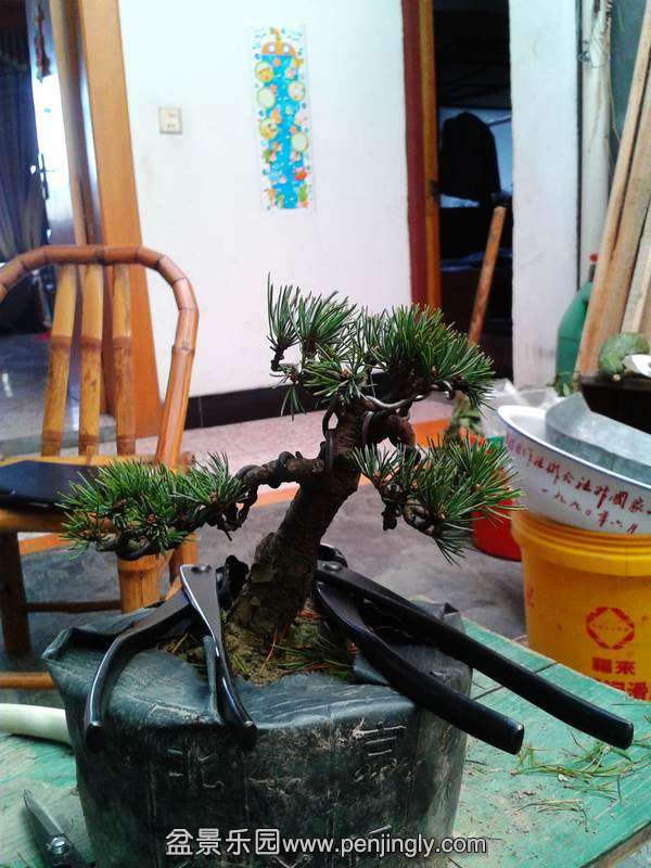 2013-10-14 14.06.52.jpg