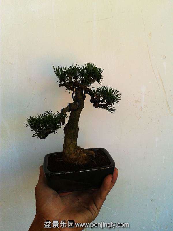 2013-10-14 14.19.12.jpg