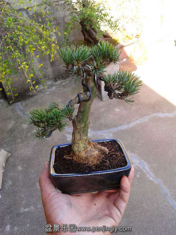 2013-10-14 14.19.48.jpg