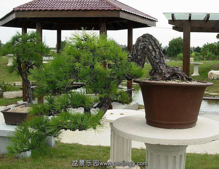 DSCN0049.jpg