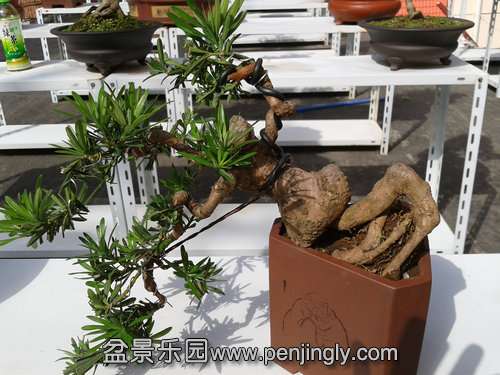 2013-10-15 13.12.06.jpg