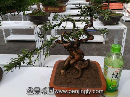 2013-10-15 13.20.42.jpg