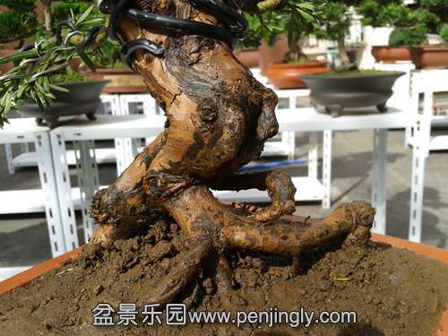 2013-10-15 13.23.31.jpg