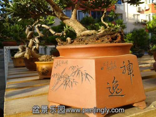 2013-10-13 15.47.12.jpg