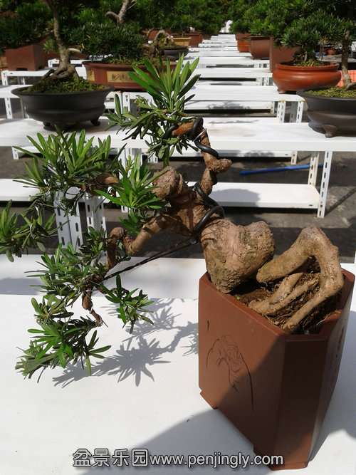 2013-10-15 13.10.03.jpg