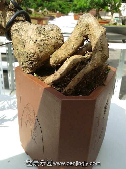 2013-10-15 13.10.15.jpg