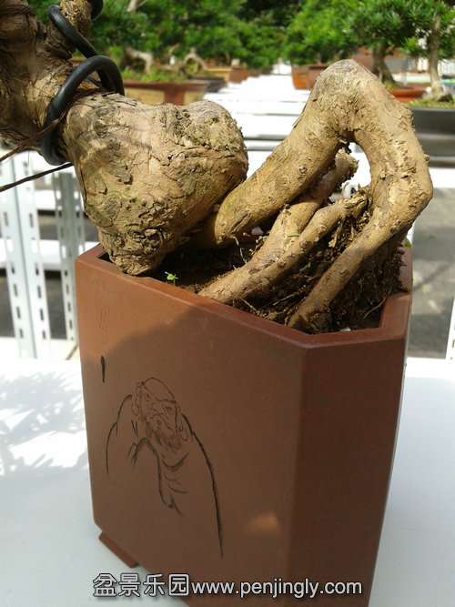 2013-10-15 13.11.53.jpg