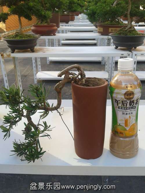 2013-10-13 15.12.06.jpg