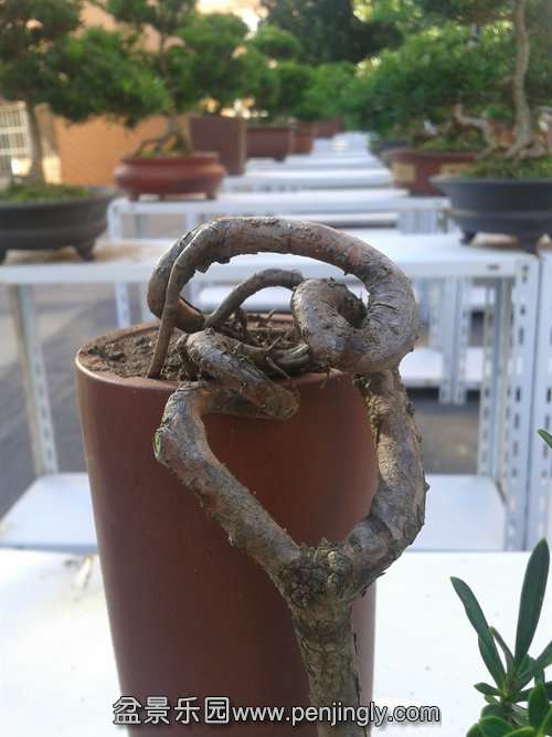 2013-10-13 15.13.35.jpg