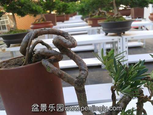 2013-10-13 15.18.51.jpg