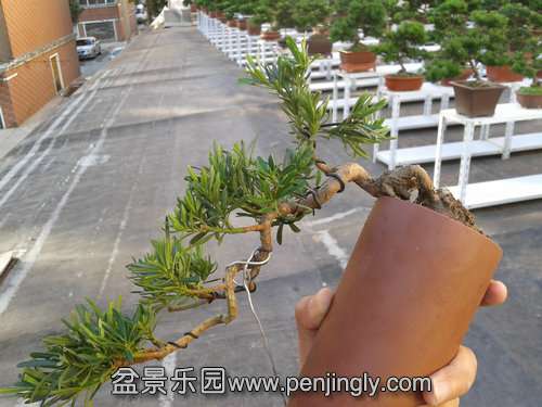 2013-10-13 15.38.42.jpg