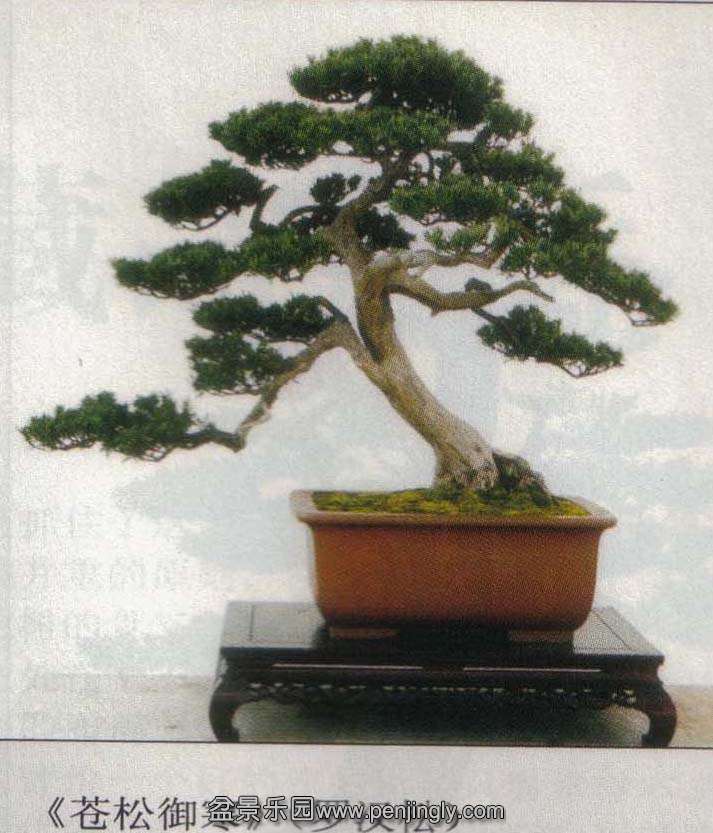 Ȼ԰-޺2.jpg