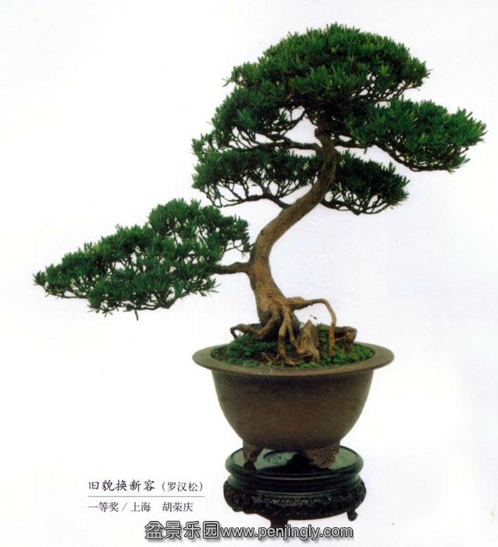 졶òݡ޺.jpg