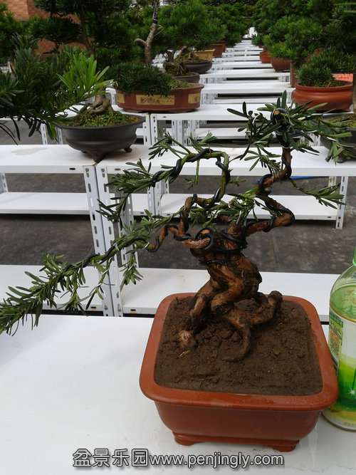 2013-10-15 13.20.57.jpg