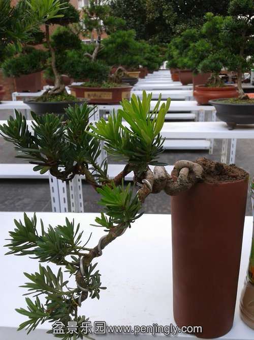 2013-10-16 13.38.14.jpg