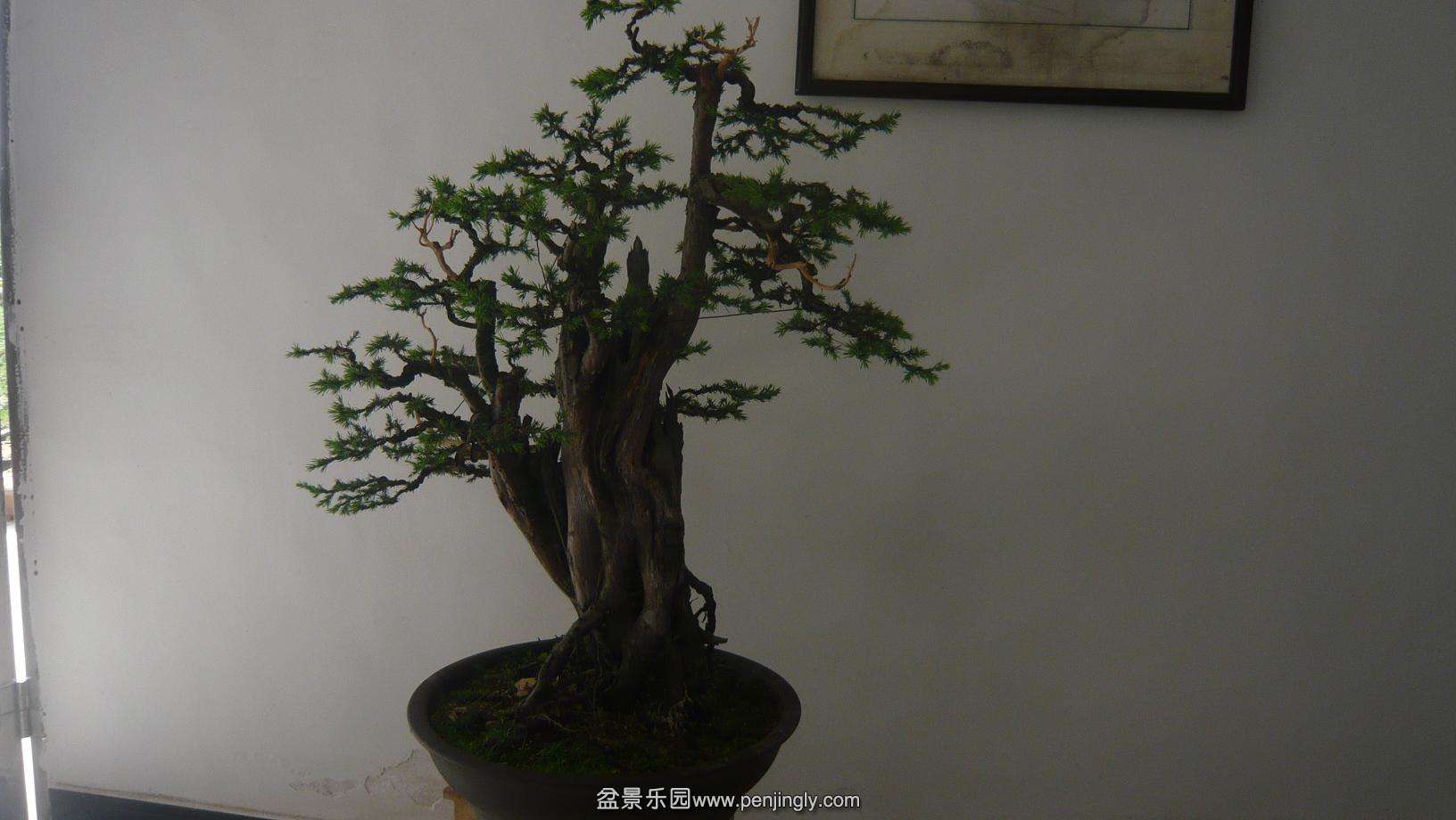 P1030765.JPG