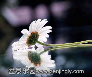 u=573508402,3096054590&amp;fm=23&amp;gp=0[1].jpg