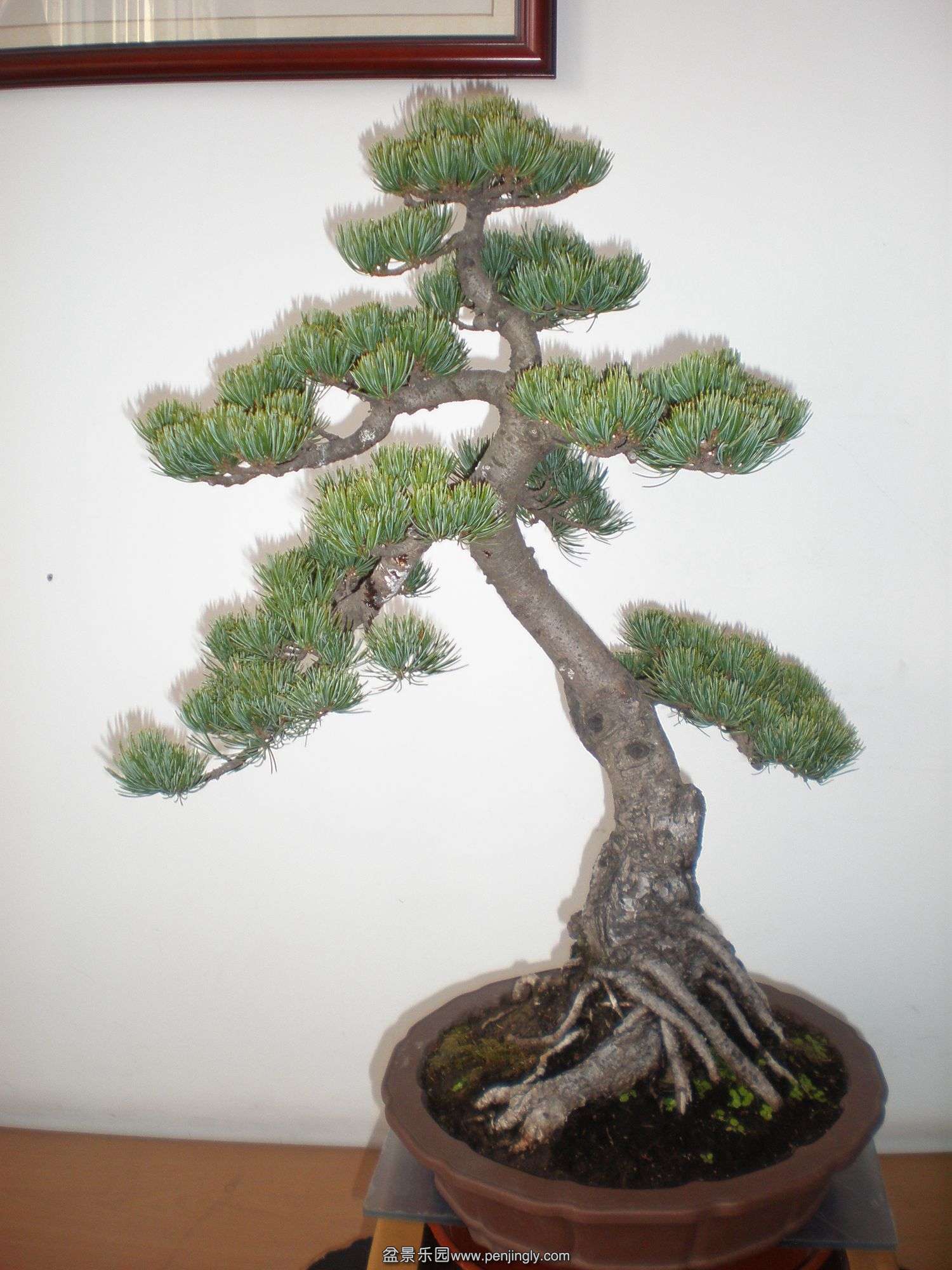 P1010222_.jpg