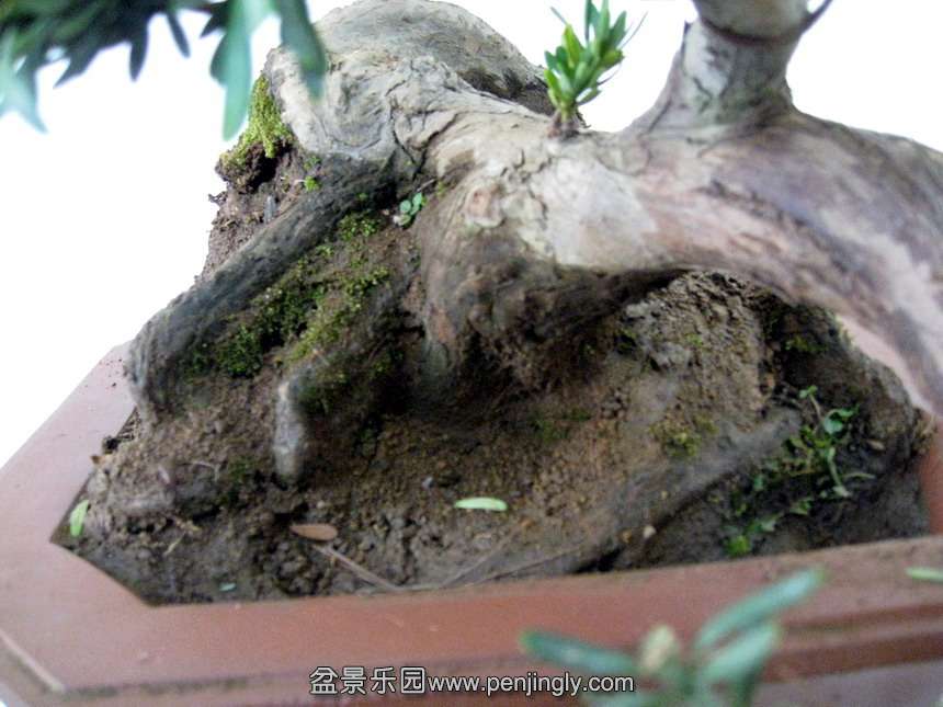 Ƭ 019.JPG
