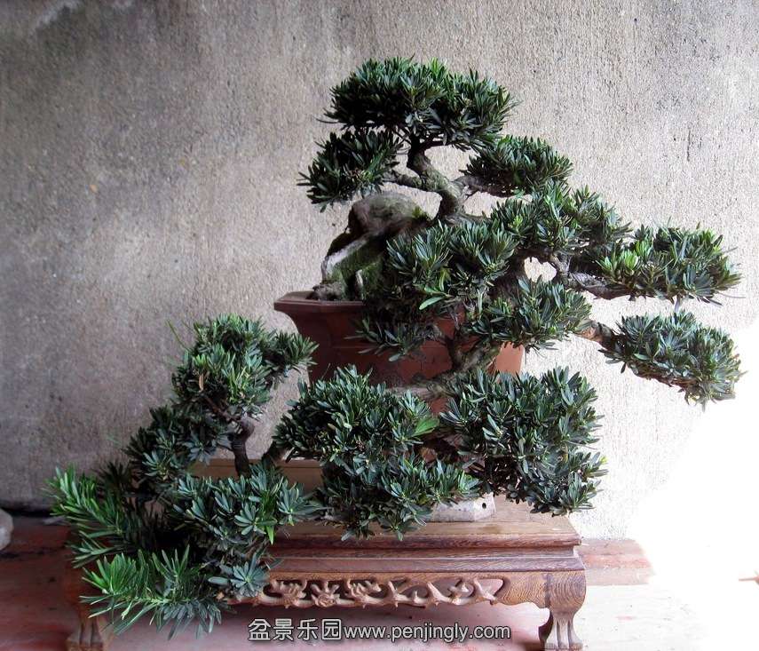 Ƭ 15384.jpg